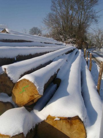 31G101370-147c7e4b51d742d7b8e0c6fe6cd51740