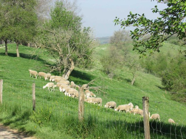 31G101370-14aa2cbdd95d40b1abfa67c77226731a