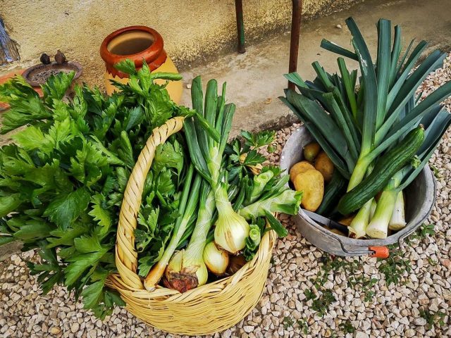 31G101370-372f8ce6e07549fc983a8a42d3582dc6