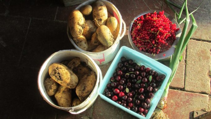 31G101370-46b008b971e0476fa75b5ac848061f38