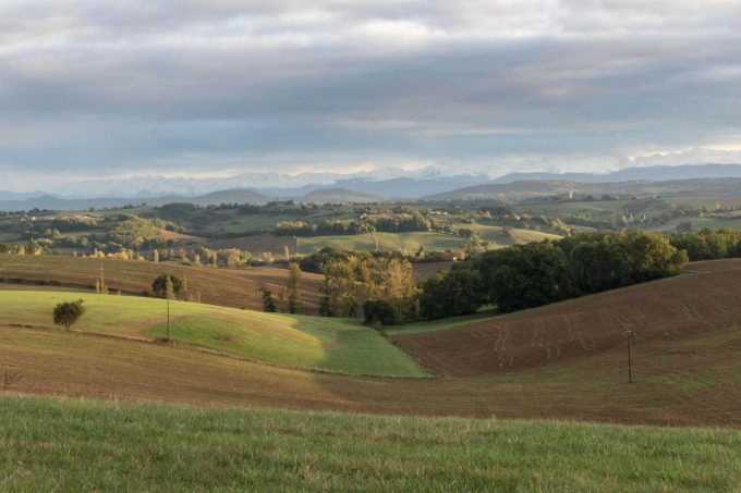 31G101370-5341efb8b2204f1b924dd062eb7c5aed