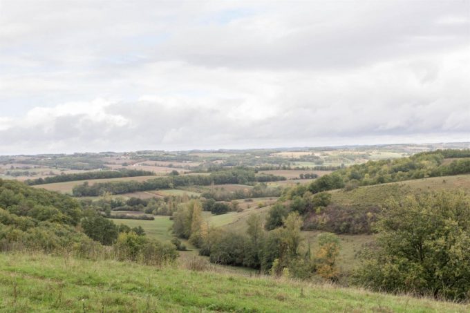 31G101370-54fe374a19d64b4b9accb3d1b82da37d