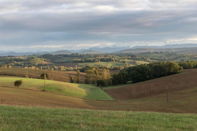 31G101370-76c1c3f69f084deabb0409d90e062938