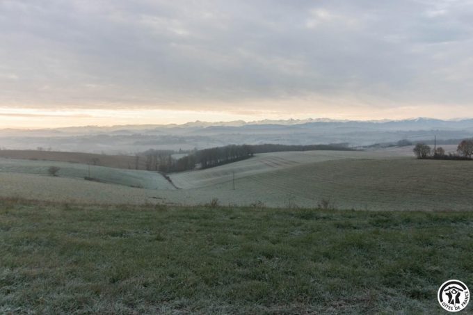 31G101370-82fe27cba553445aa76b7ef2da616e5a