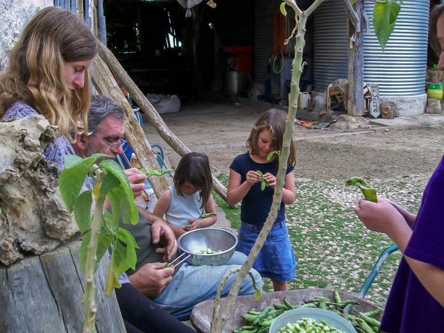 31G101370-85c3bb4d1d3044bab47c9e22df107f6b