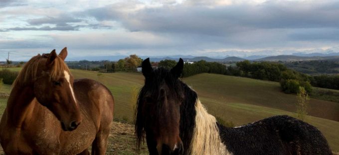 31G101370-9753ccb2e3104f2c872fe875c4ed5f03