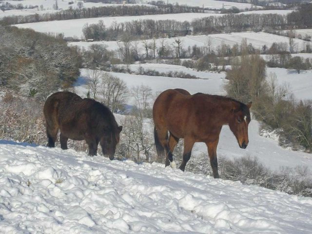 31G101370-99f32b3ad93549299fefc41dcbf3731f