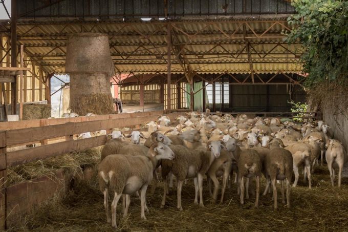 31G101370-c5edc8c1f7dd4c31a9c6f18950ecb24d