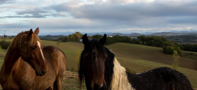 31G101370-c820772a085444a3b03606be6150b0f7