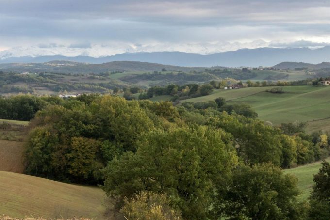 31G101370-cebf054468d44bf4b475aed09e9fad63