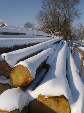 31G101370-d2177506d2a2454b8a9c831e30233fbf