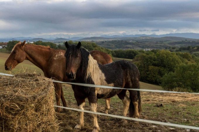 31G101370-d3d09eecac814dc39cb775d735bfeb6a