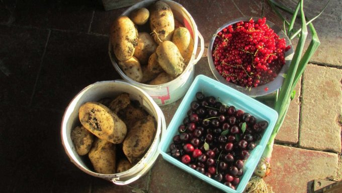 31G101370-e550cfb6f99c44ebbf8dff83b7336b5a