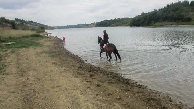 31G101371-19e51e97c5da43afa9d8b2daa7e14669