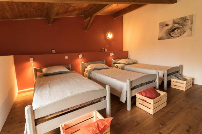 31G101371-29ba911ec0294a288bbf6c7a2d552678