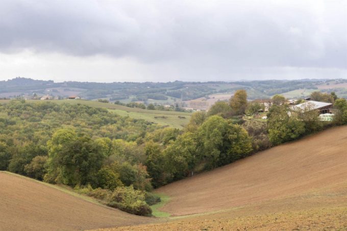 31G101371-396c6e94b79240d5a84bdb9472fce311