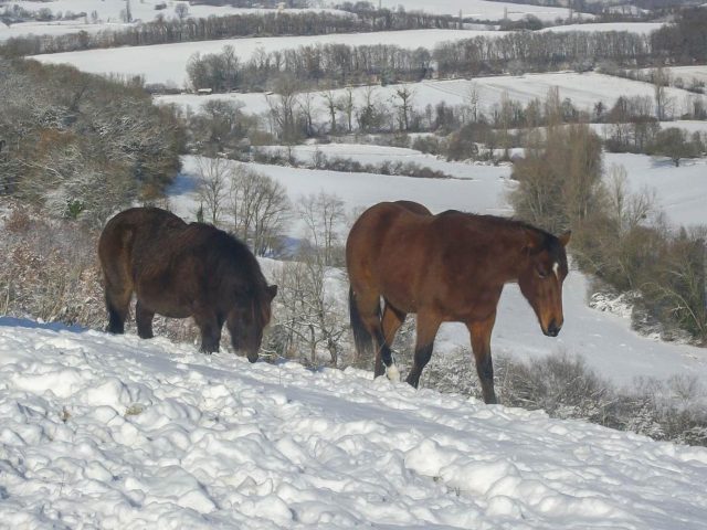 31G101371-a807f8a736354279a2d33d4d0aed1a61