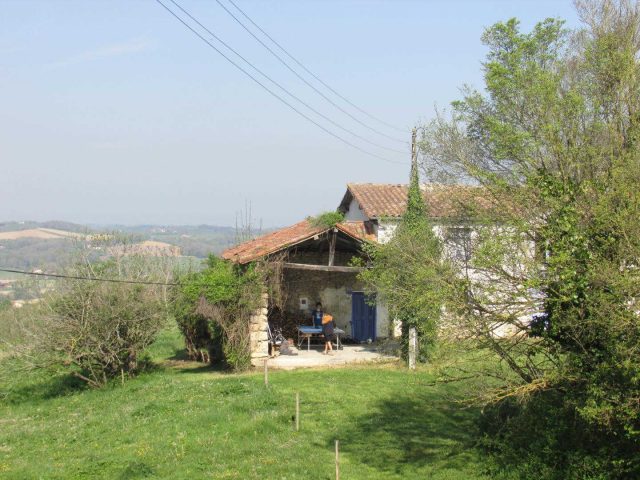 31G101371-c176703516c54a3492414b45a6d2d79d