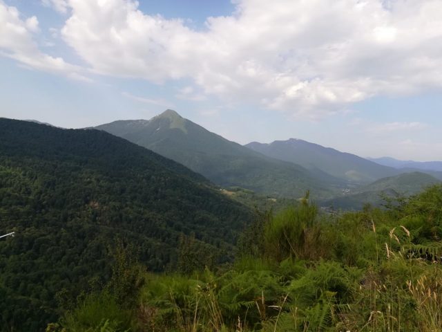 31G101383-c5dd35e2de054e738ea6ea14777758be