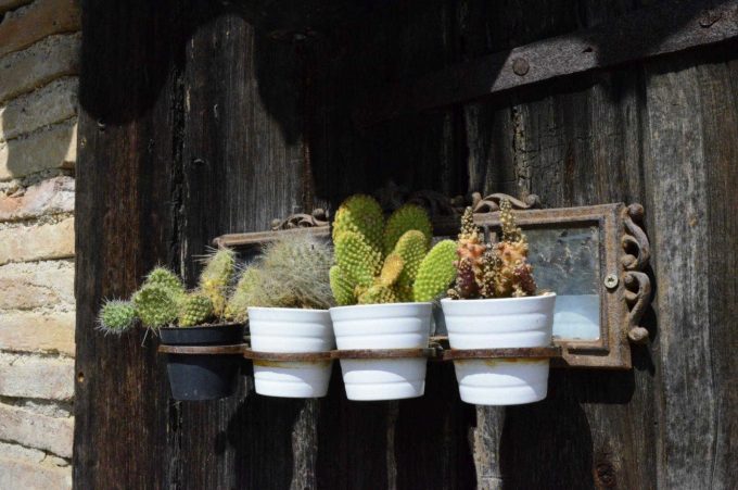 31G101387-610dcf180e3e4e0fb2141c209c8ad126