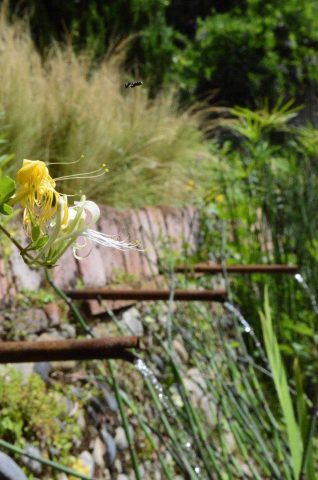 31G101387-61c075cf6eec4d8da25b4f2557601812