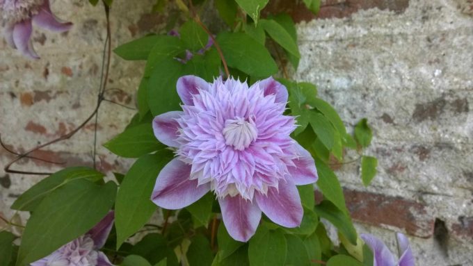 31G101387-fabbcf75bb27420db5dbede149ff41b0