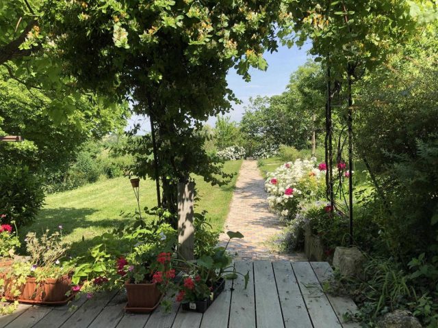 31G101393-1767aa88897241aab6641f8bc9a48ebd