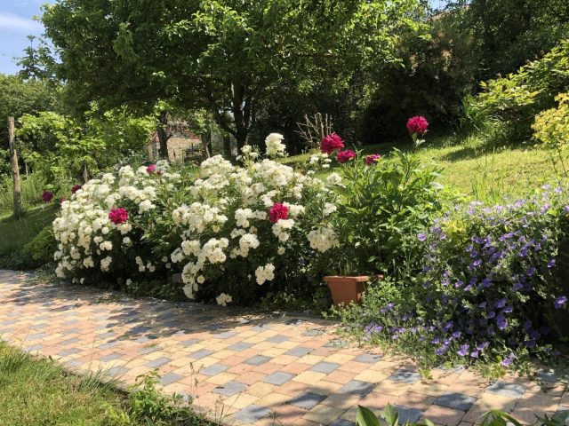 31G101393-25105512db3045a1ac1ce064abdc2309