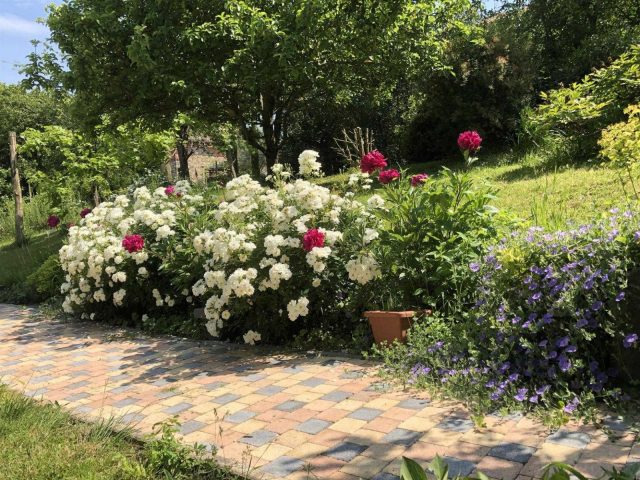 31G101393-31995b3c4c2a49ab84930ee0f0284706