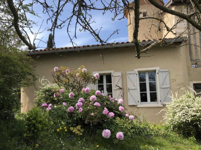 31G101393-48ab74c86b0f4eadb8595d5a5dc05939