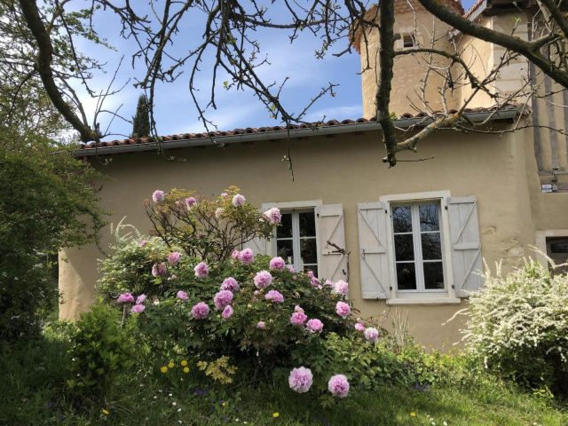 31G101393-f30e0c80cd084091855b27302fbbaf37