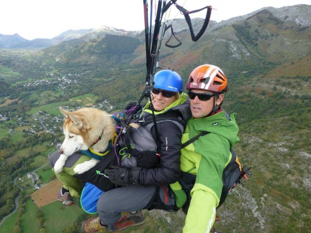 31G101413-2e336348d005449e882b2cee0b8504fd