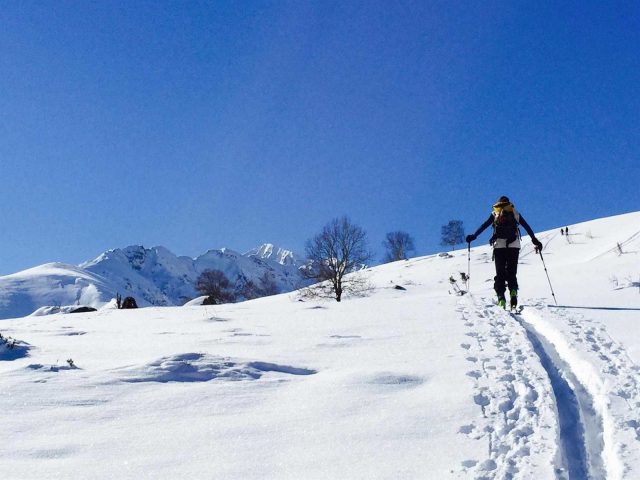 31G101413-3bc0e6993cef4c02b03f7926cfc03369