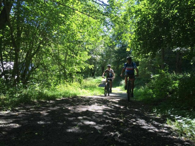 31G101413-4ac9a1b0d251447681d932dd299381e9