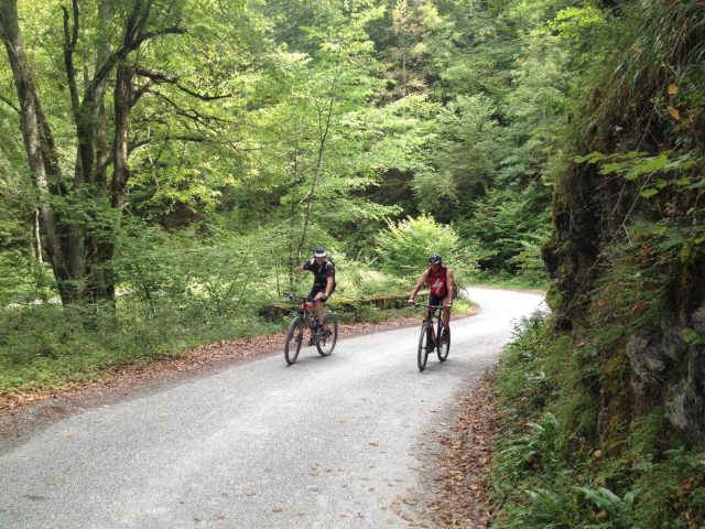 31G101413-7305f9633b3645b9a73b6d3b912c1fa1