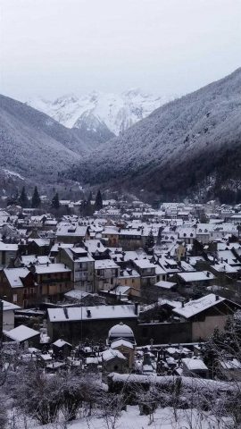 31G101416-1dc474039d75400594c79ffb1bc096dc