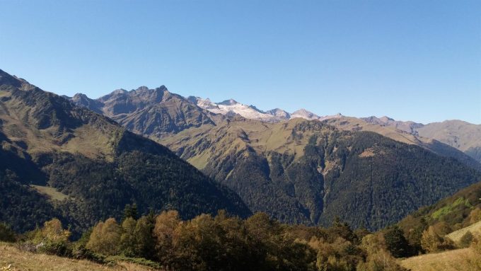 31G101416-866ce434c05143279caa45963550bc98