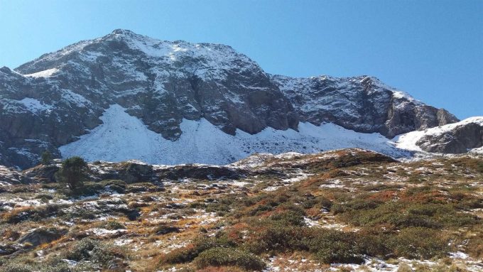 31G101416-8de38a6a59c64c6485c433ef8f892e96