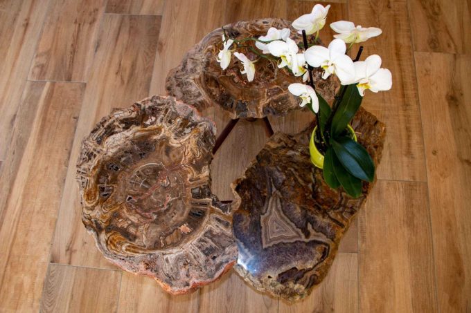 31G101444-0bf580491a9249fdb82dedfc708eca25