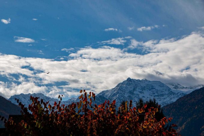 31G101444-0f3dcf51f60f481fab1a867c072e07ad