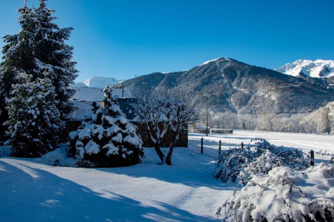 31G101444-13f2c29d0da64d2f8f649a40e47c64d2