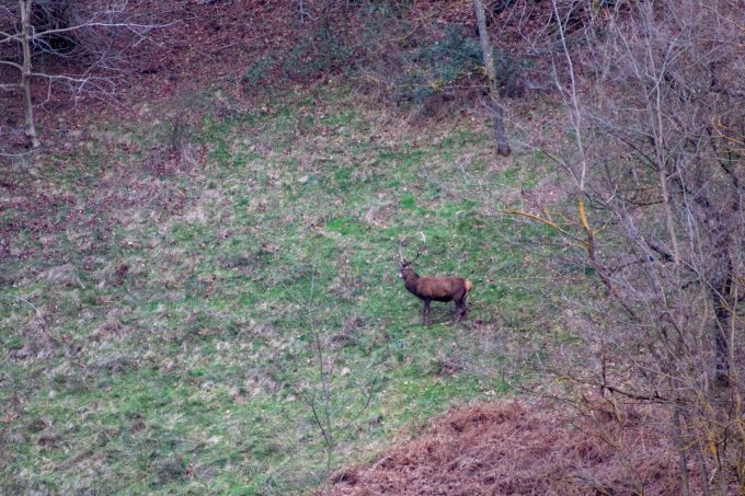 31G101444-236580f4b61f47f4be1d87e0ec1f56fa