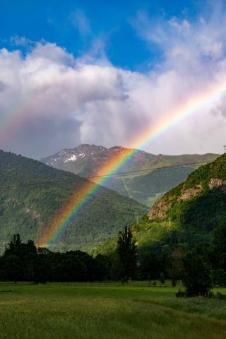 31G101444-2ddcfbfe73724f168713765e4b68b5e1