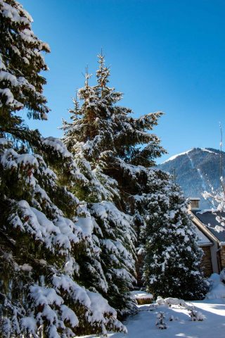 31G101444-331566d63ce447448e79bab370326df4