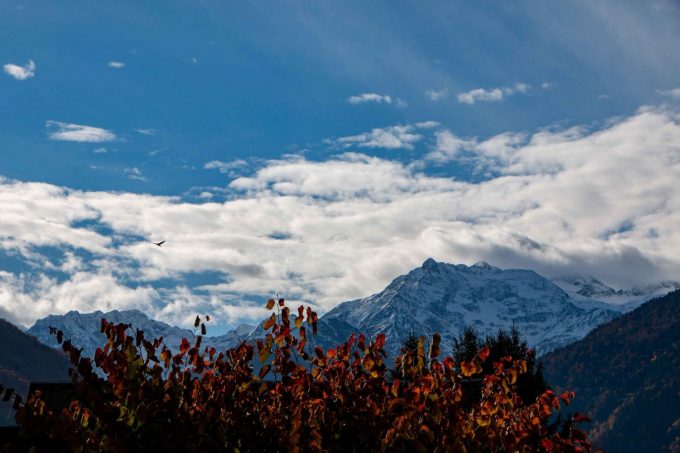 31G101444-42b7787060fc45908d45bca7e697292e