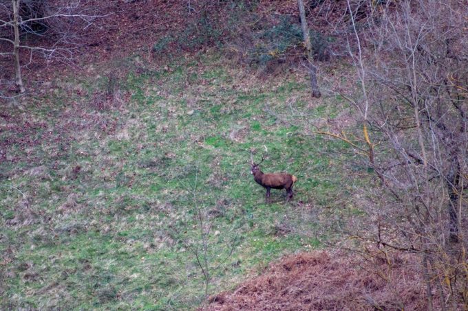 31G101444-4a7efb6380ff4c218ab43227d2465994