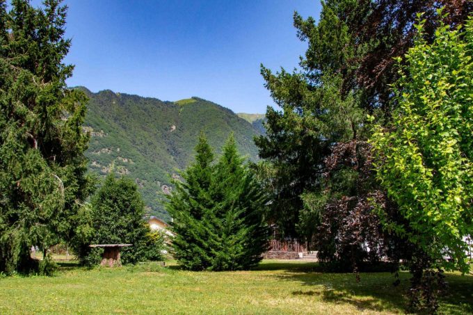 31G101444-6781306480ae4d8e85849fc4693bb110