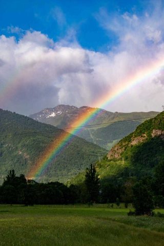 31G101444-6e3870c81769490cba137a56a29f5487