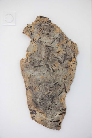 31G101444-7d82a6176f654bf0bbff229ee73e03ff