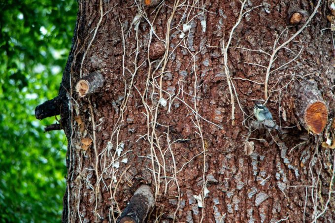 31G101444-88a44adf7cfc4ff3b7ae9367e23030df